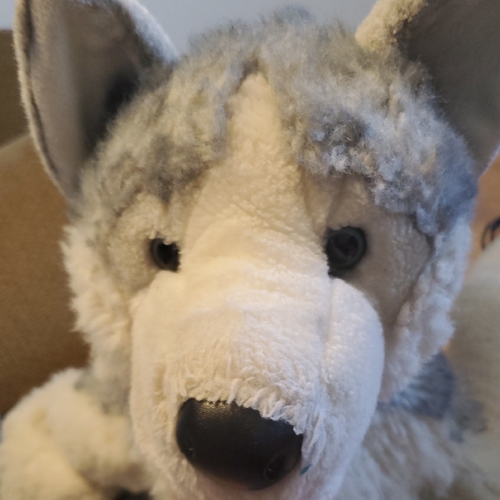 Stuffed Animal